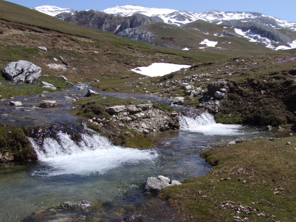 Pianoro di  Forestelle  a Picinisco
